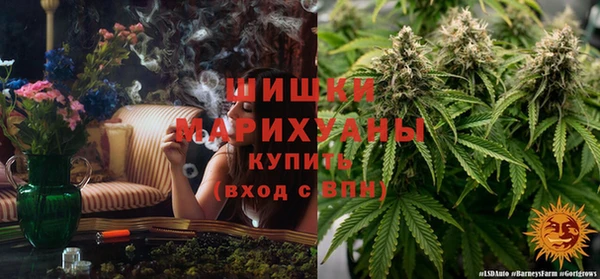 Альфа ПВП Армянск