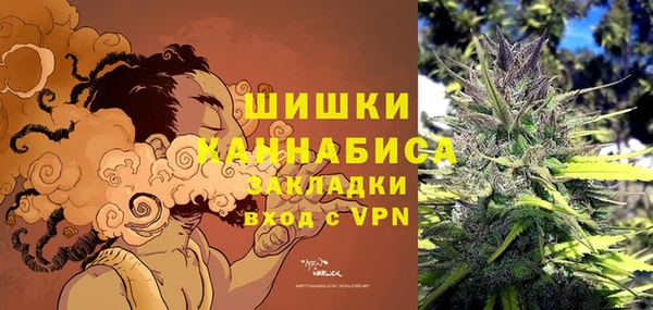 гидра Арсеньев