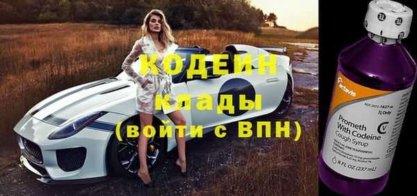 гидра Арсеньев