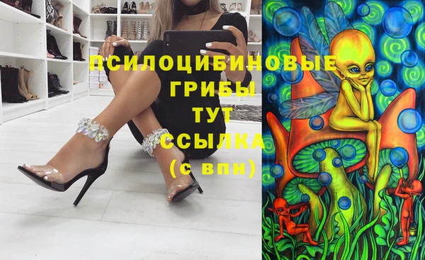 Альфа ПВП Армянск