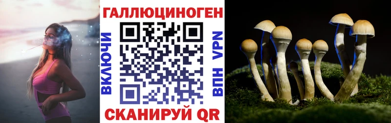 Галлюциногенные грибы мицелий  дарнет шоп  Ельня 